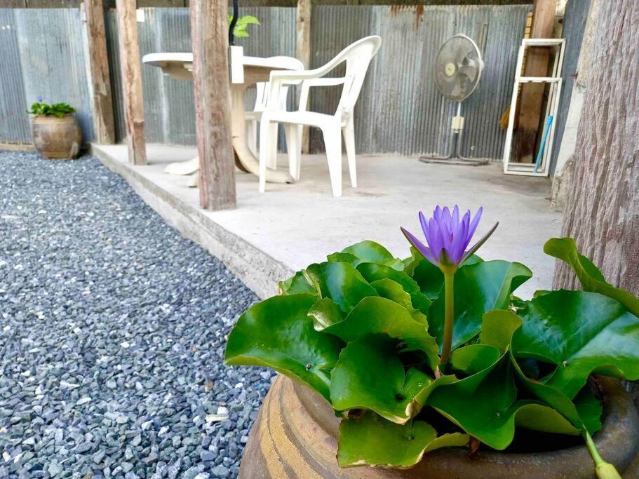 Grandma'S House Villa Chiang Mai Exterior photo
